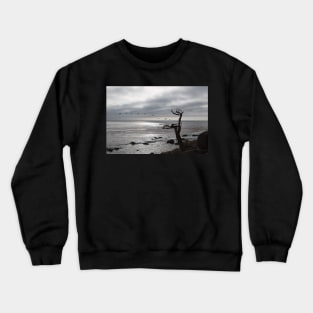 The Ghost Tree Crewneck Sweatshirt